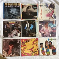 80’s Pop, R&B Vinyl 45rpm Singles w/Pic Sleeves, EX, Whitney, Bar-Kays #5