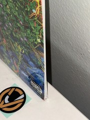 NEW SEALED VINYL – JHENE AIKO – TRIP – RSD 2026 PICTURE DISC EXCLUSIVE 2LP