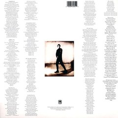 VINYL Sting – The Soul Cages
