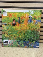 JHENE AIKO Trip SEALED limited edition 2LP Picture Disc RSD