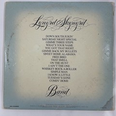 Lynyrd Skynyrd Gold & Platinum Band Double LP Vinyl Records 79