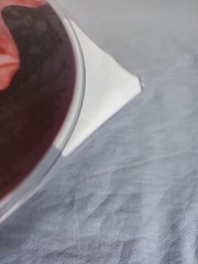 Arch Enemy – Blood Dynasty Liquid Filled Vinyl Record -/666 – **Sold Out**