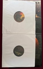 Thirteenth Step by Perfect Circle Vinyl Record (2 LP Gatefold, 2003)