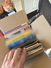 Lot of 50+ vintage DUTCH MUSIC records