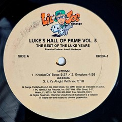 1998 – VARIOUS – LUKE’S HALL OF FAME VOLUME 3 – DOUBLE LP COMPILATION