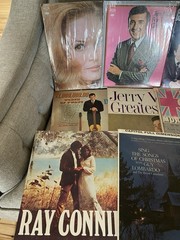 Large Lot of Vintage LP Vinyl Records Assorted Artists, Lot of #20