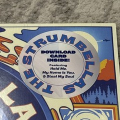 EXTRAORDINARY Part-Time Believer by The Strumbellas (Download Card Inside) NEW