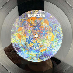 Ed Wynne Gre Vanderloo Tumbling Through The Floativerse Vinyl LP NM Ozric Tentac