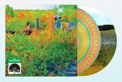 Jhene Aiko Trip Zoetrope Vinyl 2xLP RSD 2026 Sealed R&B Soul Limited Edition