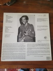 Maurice John Vaughn “Generic Blues Album” Vinyl LP, Alligator Records