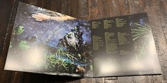 SLOW CRUSH Hush LP Vinyl 1st Press 300-Trauma Ray Nothing Leaving Time Keep