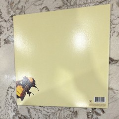 Tyler the Creator Scum Fuck Flower Boy Vinyl LP Columbia 2017 88985469051 2010s