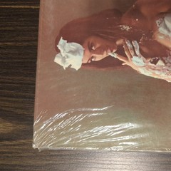 Herb Alpert’s Tijuana Brass Whipped Cream and Other Delights Vintage Vinyl LP