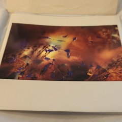 1986 Cocteau Twins ‎Victorialand Record Album Vinyl UK Import Excellent