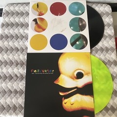 fleshwater We’re Not Here To Be Loved and Sounds of Grieving LP Lot First Press