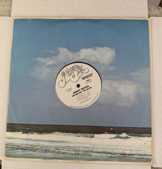 Johnny Winter Nothin’ But The Blues LP White Label Promo WLP Vinyl NM