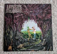 Undeath Lesions Of A Different Kind transparent Purple opaque green split Vinyl