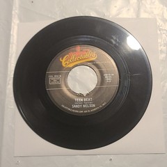 The Flares – Foot Stomping Pt.1/ Sandy Nelson – Teen Beat – 45 RPM Record