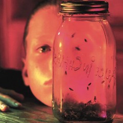 Alice In Chains – Jar Of Flies – Vinyl Record