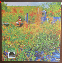 Jhene Aiko Trip 2LP Picture Disc Vinyl RSD Record Store Day 2026 New & Sealed ✅