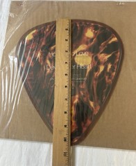 Gary Moore 2-sided Guitar Pick Shaped 45 RPM Record
