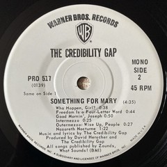1973 Credibility Gap Something For Mary Warner Promo 45 McKean Shearer