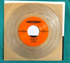 Tweak Bird It burns split single 7″ 2010 Let’s Pretend Records – LPR-037