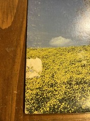 George Winston “Winter Into Spring Vinyl LP WH-1019 Classical Contemporary EX/NM