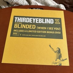 Third Eye Blind Out of the Vein LP Elektra Promo 12 X 12 Flat Poster