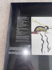 Captain Beefheart / Magic Band – Lick My Decals Off Baby – Vinyl Lp(2) RSD 2026