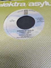 Rock, Pop, Country 45s (Lot Of 10) Cher, Brenda Lee , Aaron Tippin & More