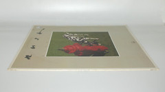 1982 Rush Signals Vinyl LP Record Album Mercury Records SRM-1-4063