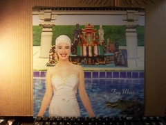 Orig Vintage Stone Temple Tiny Music 1996 12×12 promoFlat/poster Not a record