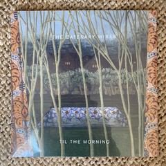 The Catenary Wires Til the Morning Vinyl LP Amelia Fletcher Indie Pop Tapete New