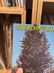 Flying Burrito Bros – Cabin Fever LP (Green Vinyl) NM Sleeve/Vinyl – Relix 1985