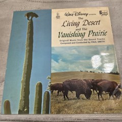 Walt Disney The Living Desert 12” Vinyl LP, 1970 Disneyland Records, DQ 1198