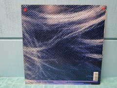 Rod Stewart Camouflage LP -EXTRA LPs SHIP FREE