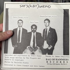 The Fingers – “You Get On My Nerves” (USA 1990s 7” Vinyl) Obscure Single