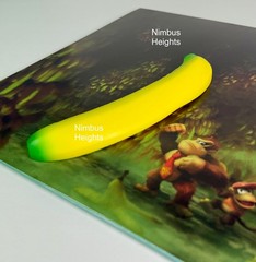 Donkey Kong Country Game Boy Color Vinyl Record VGM OST *INCLUDES BANANA!* New