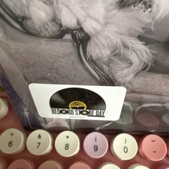 TAYLOR SWIFT Elizabeth Taylor SEALED limited edition 7″ single Vinyl RSD