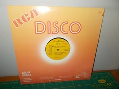 The Immortals The Ultimate Warlord RCA 12″ Disco Single Record 1979 Pressing