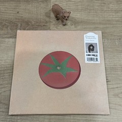 Lucy Dacus Planting Tomatoes 7” Vinyl 2026 RSD LE /2000 Record Store Day NEW