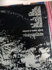 Steppenwolf At Your Birthday Party DS50053 1972 VINYL ULTRASONIC CLEANED