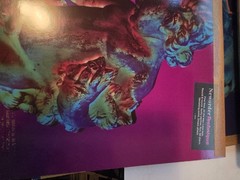 NEW ORDER TECHNIQUE Promo Vinyl LP