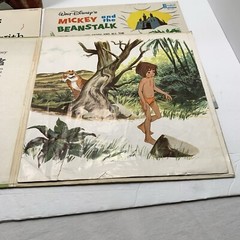 Walt Disney Vinyl Lot of 9 Vintage Disneyland LP Records 1960s 1970s Berney