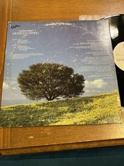 George Winston “Winter Into Spring Vinyl LP WH-1019 Classical Contemporary EX/NM