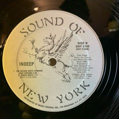 Indeep – The Record Keeps Spinning – Sound Of New York – SNY 5109 – 12” PROMO NM