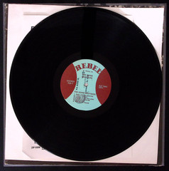 THE GOINS BROTHERS SELF TITLED REBEL RECORDS REBEL RECORDS VINYL LP 139-40W