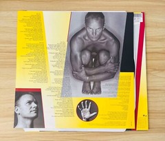 Sting / Fields Of Gold The Best Of Sting 1984 – 1994 UK Original 2LP 5403071