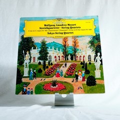 Deutsche Grammophon Classical Vinyl LP Lot of 10 Karajan Kleiber Barenboim